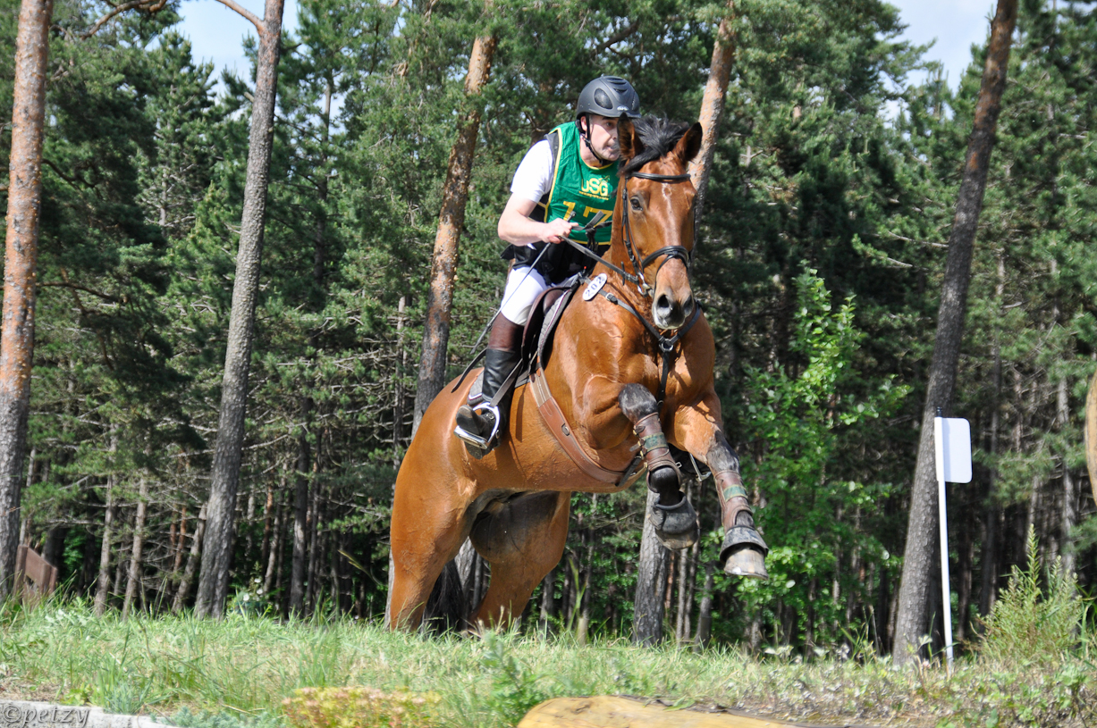 Fränkische Meisterschaft Vielseitigkeit 2013