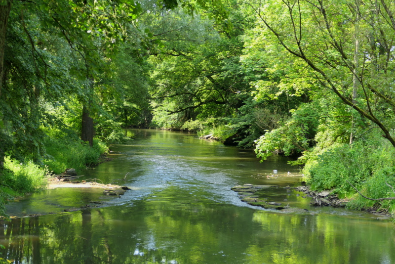 Fränkische Saale, Sommer 2021 (II)