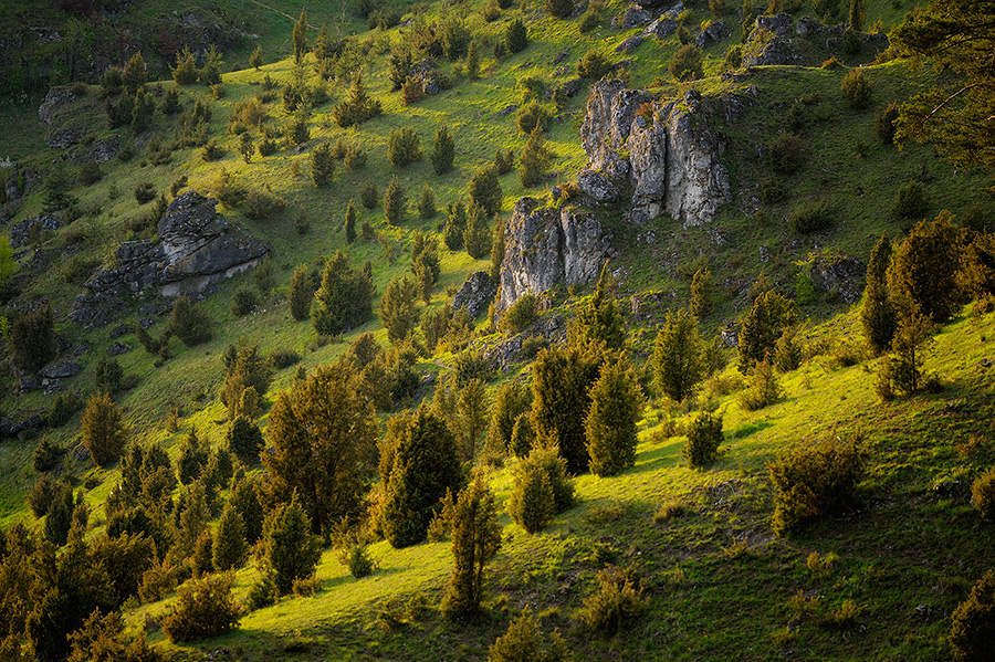 Fränkische Schweiz