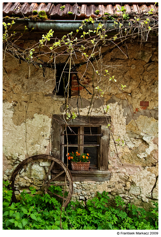 Fränkische Schweiz- Hinterhof