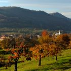 Fränkische Schweiz - Leutenbach