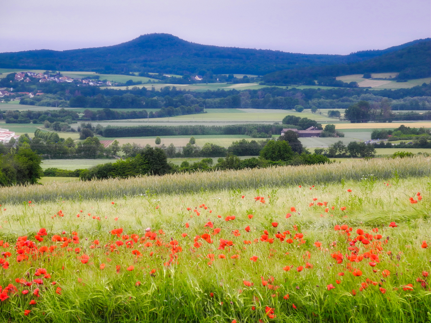 Fränkische Sommerlandschaft