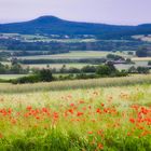 Fränkische Sommerlandschaft