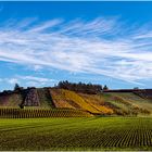 Fränkische Weinberge