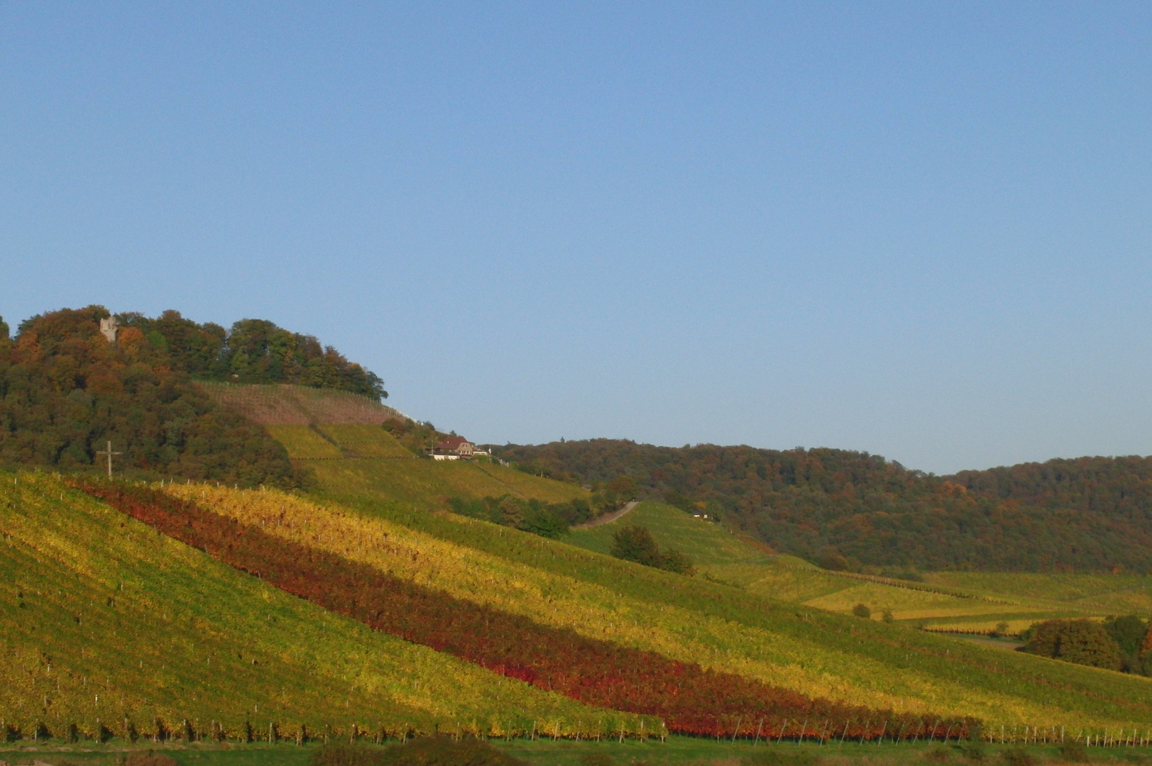 Fränkische Weinlandschaft 2010