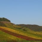 Fränkische Weinlandschaft 2010