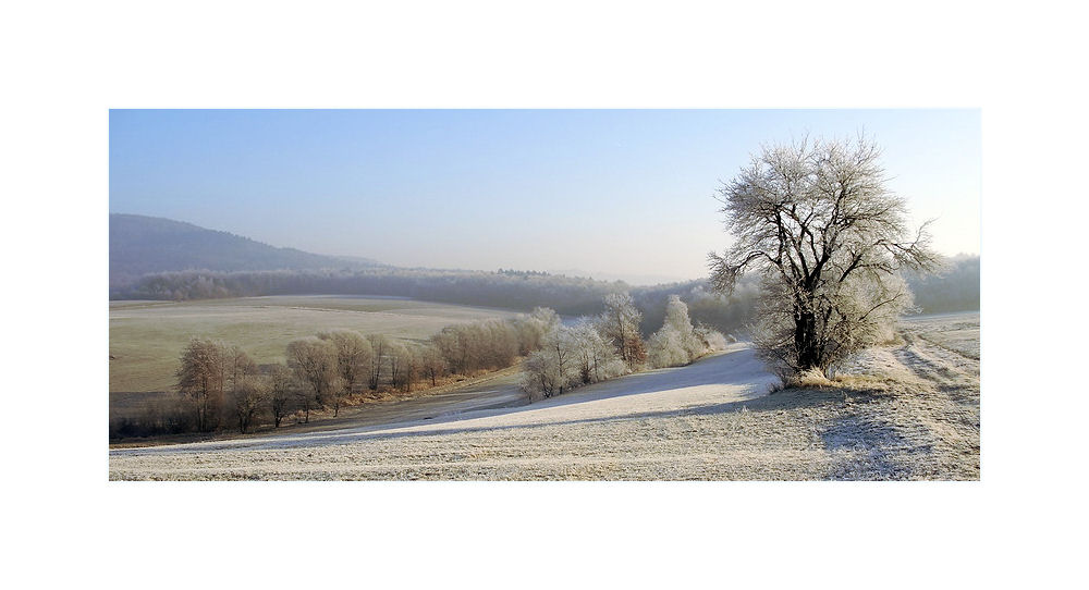Fränkische Winterlandschaft...