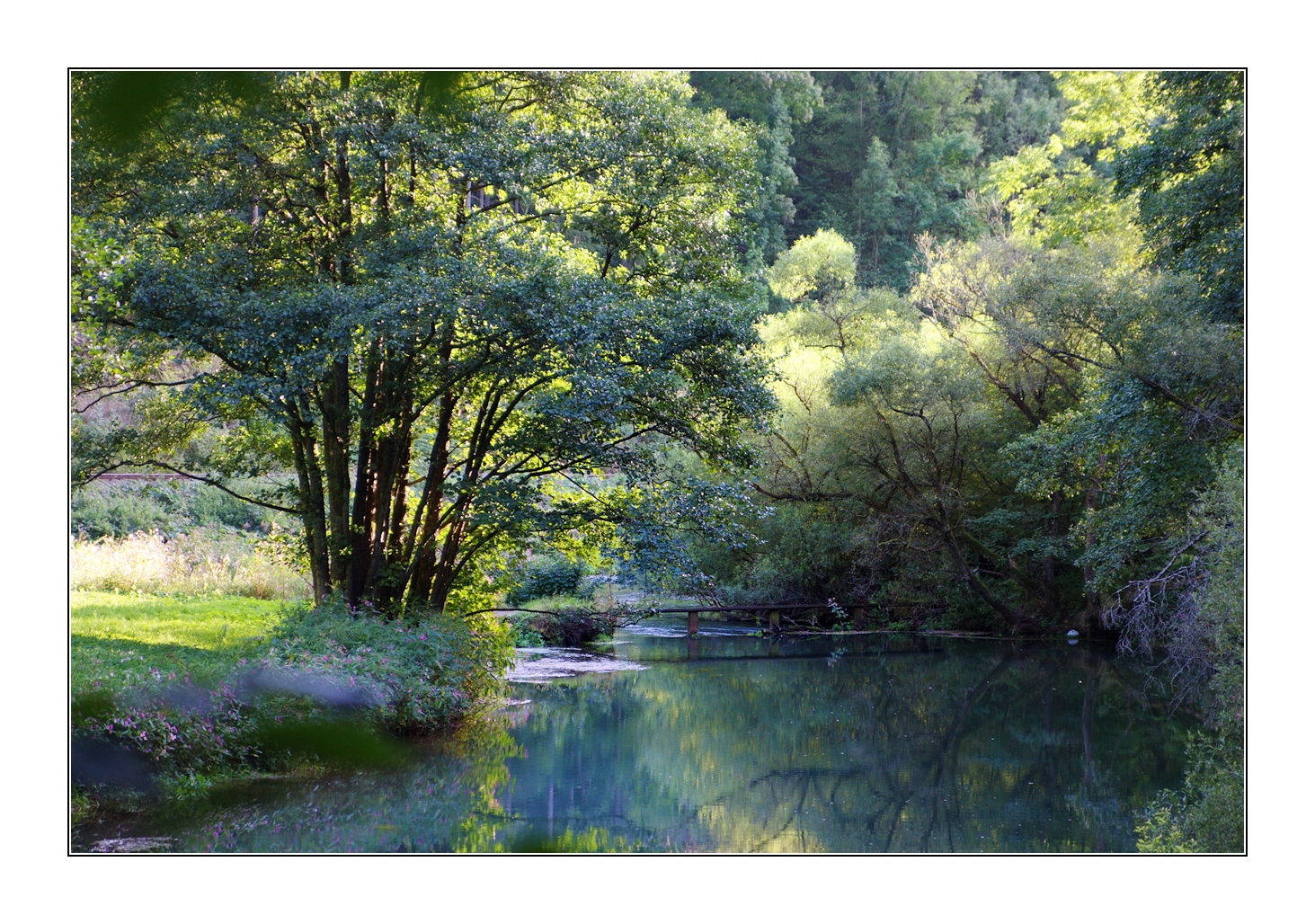 fränkischer urwald