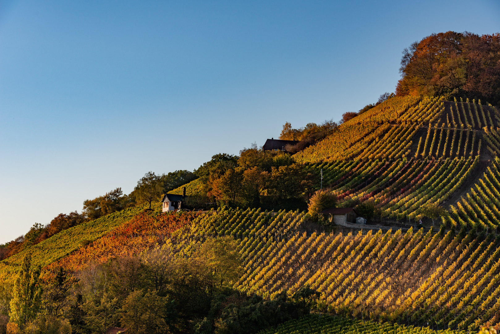 Fränkischer Wein