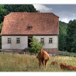 fränkisches freilandmuseum fladungen (4)