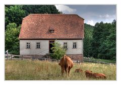 fränkisches freilandmuseum fladungen (4)