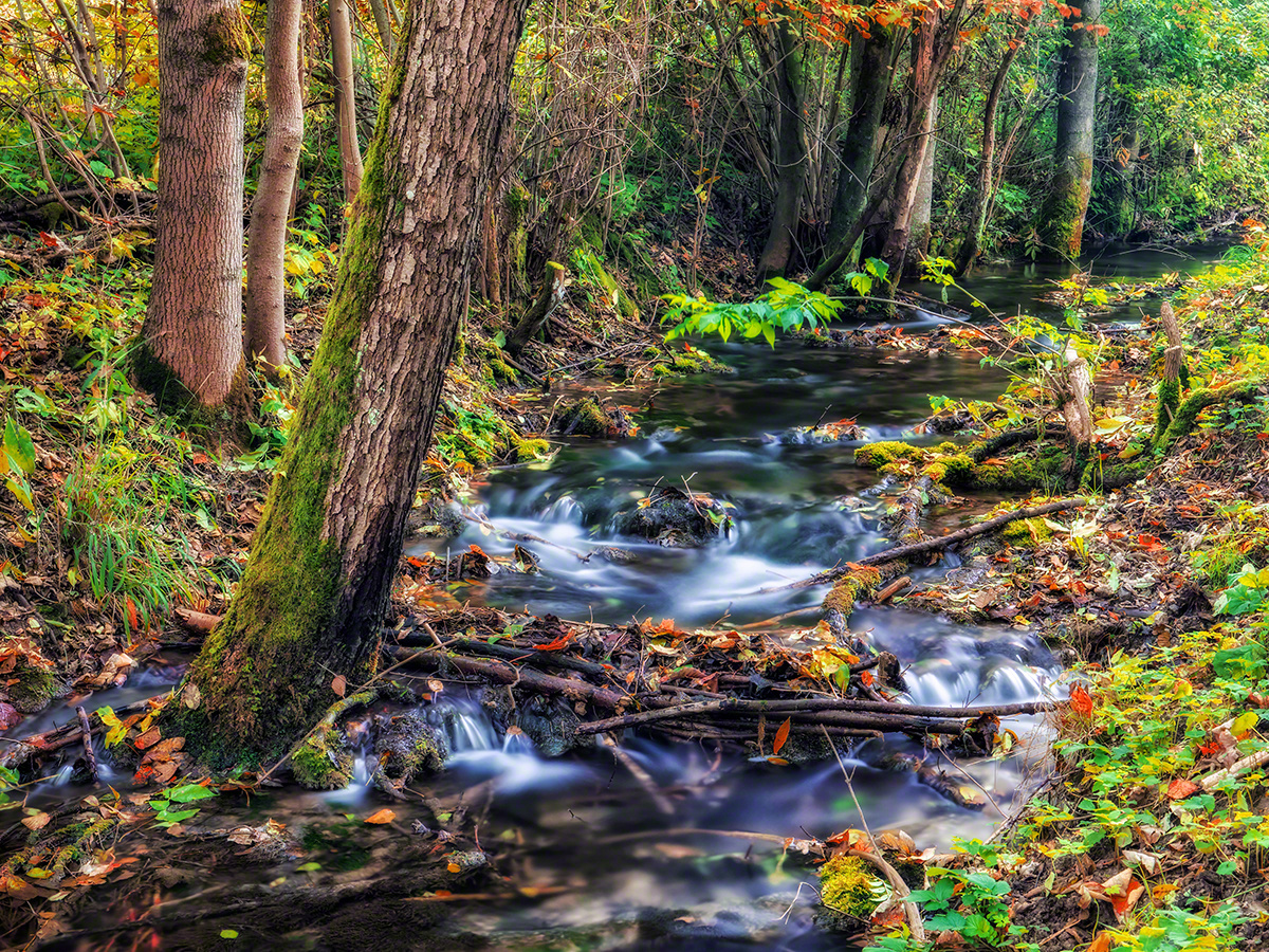 fränkisches Herbst-Bächlein