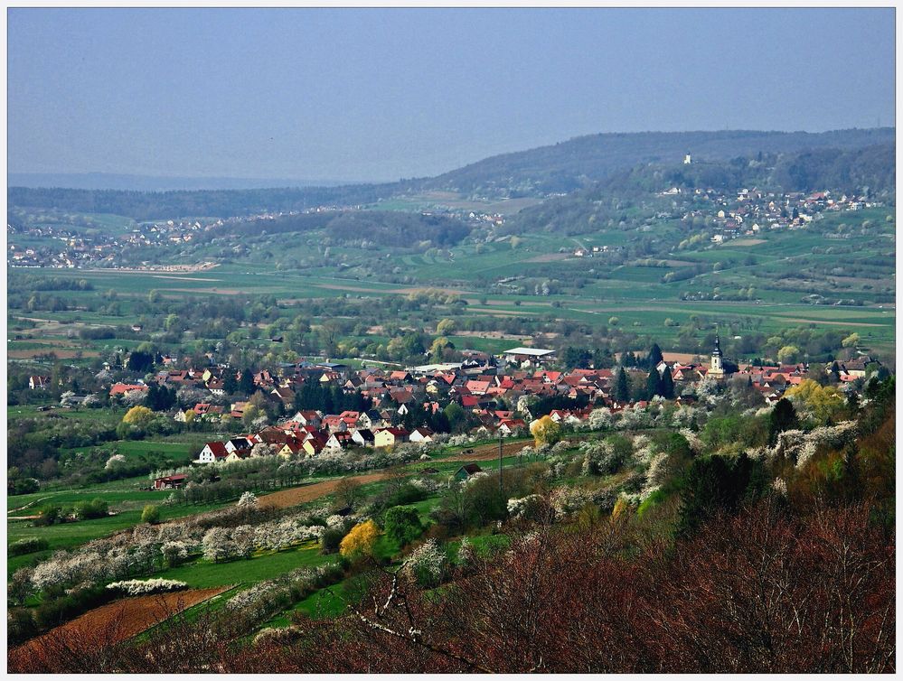 Fränkisches Kirschenparadies