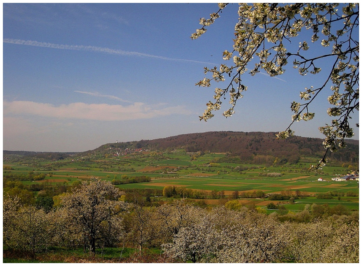 Fränkisches Kirschenparadies