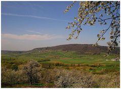 Fränkisches Kirschenparadies