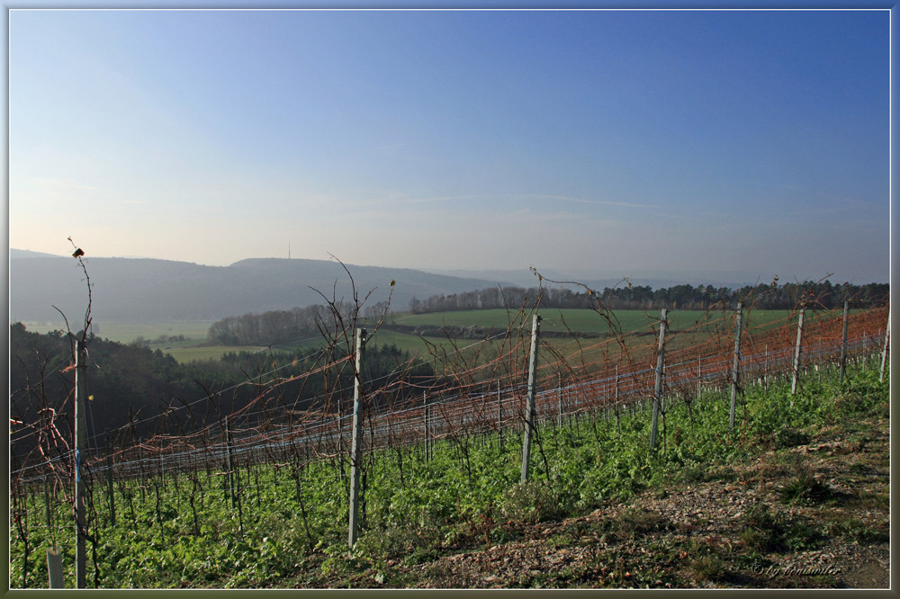 fränkisches Weinland