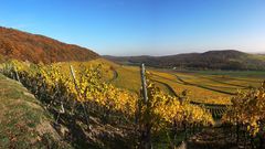 Fränkisches Weinland