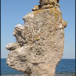 Fräulein Rottenmeier auf Färö