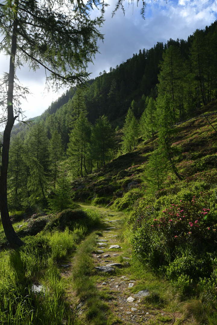 Fragant, Hohe Tauern (Kärnten)