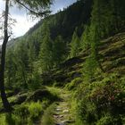 Fragant, Hohe Tauern (Kärnten)