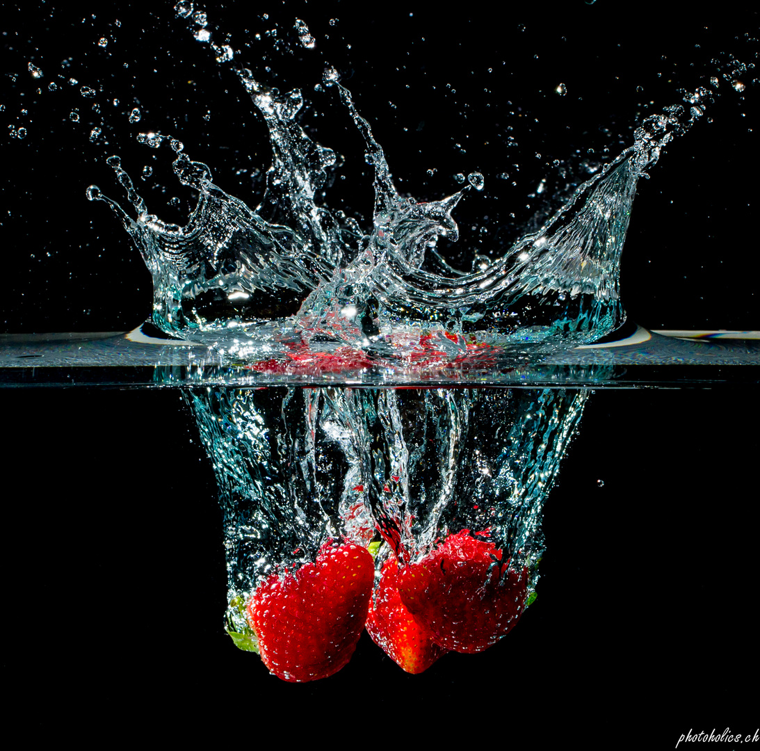 Fragaria splish splash