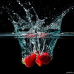 Fragaria splish splash