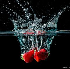 Fragaria splish splash