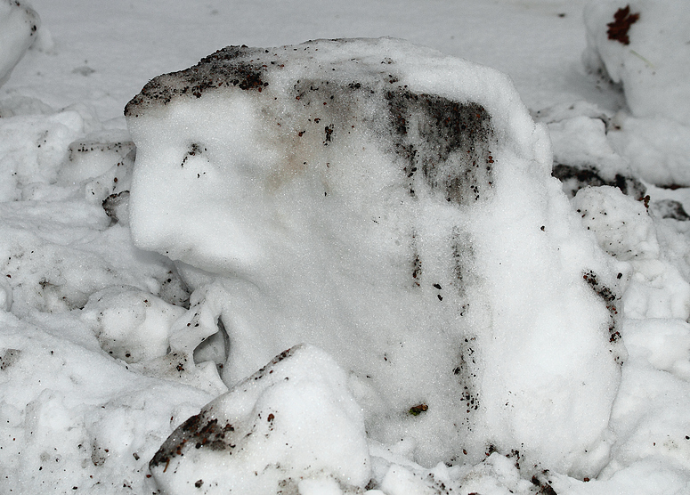 FRAGE - welches Tier siehst Du in diesem Schneeblock?