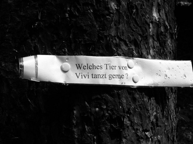 Fragen im Wald..