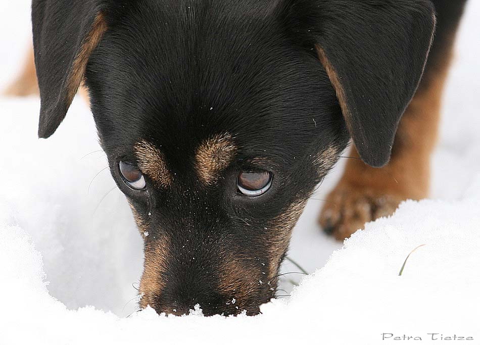 fragende Augen