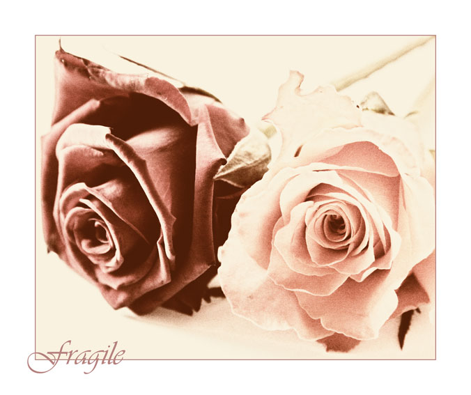 ~Fragile~