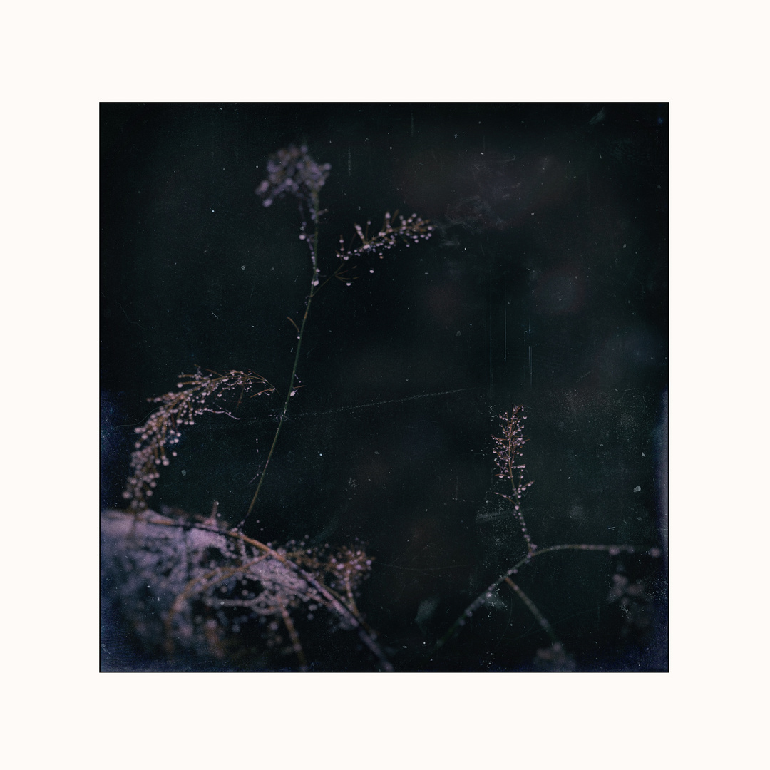  FRAGILE  Foto & Bild | spezial, zart, tropfen Bilder ...