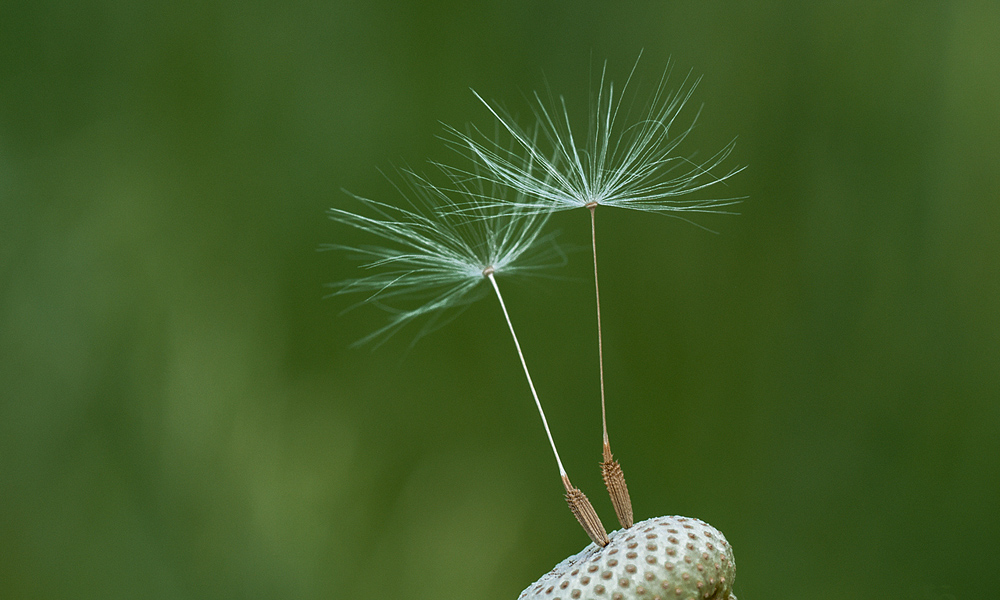 "Fragile Zweisamkeit"