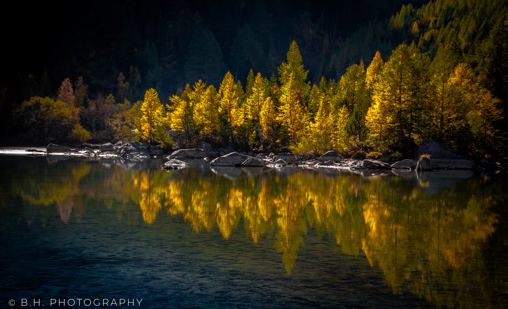 Fragment des Herbstes