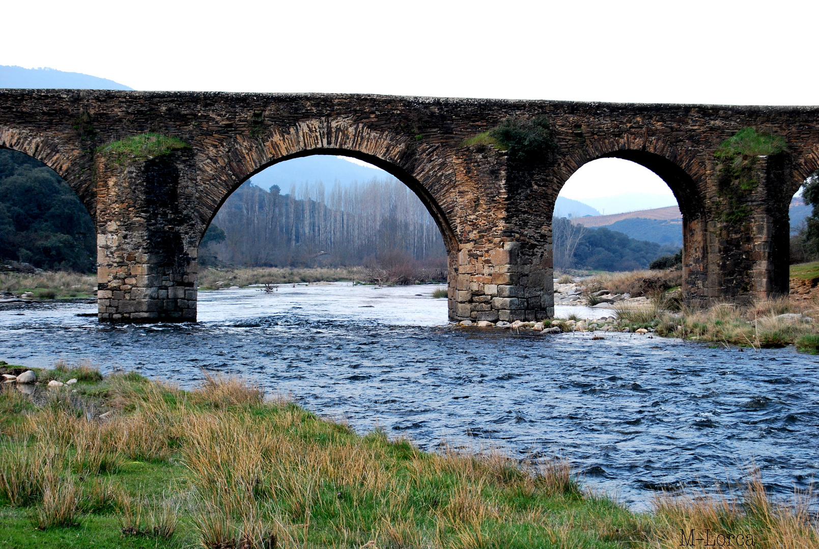 fragmento del  puente del soto