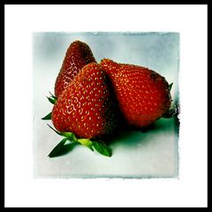 fragole