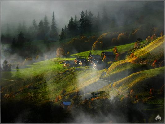 Fragrance montagnarde