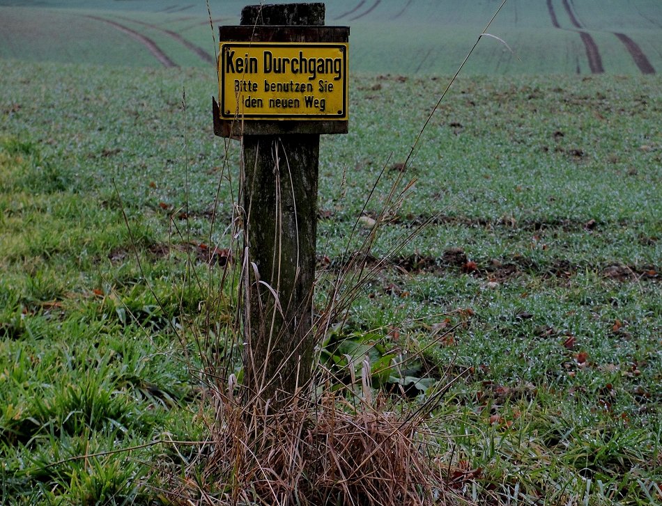 Fragt sich bloss, ... welchen nehmen ...