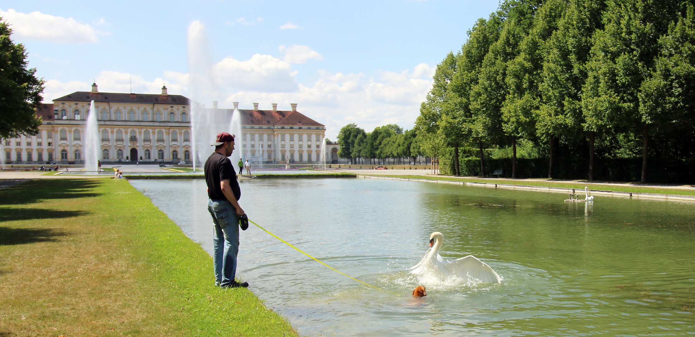 Fragwürdige Lektion für den Hund