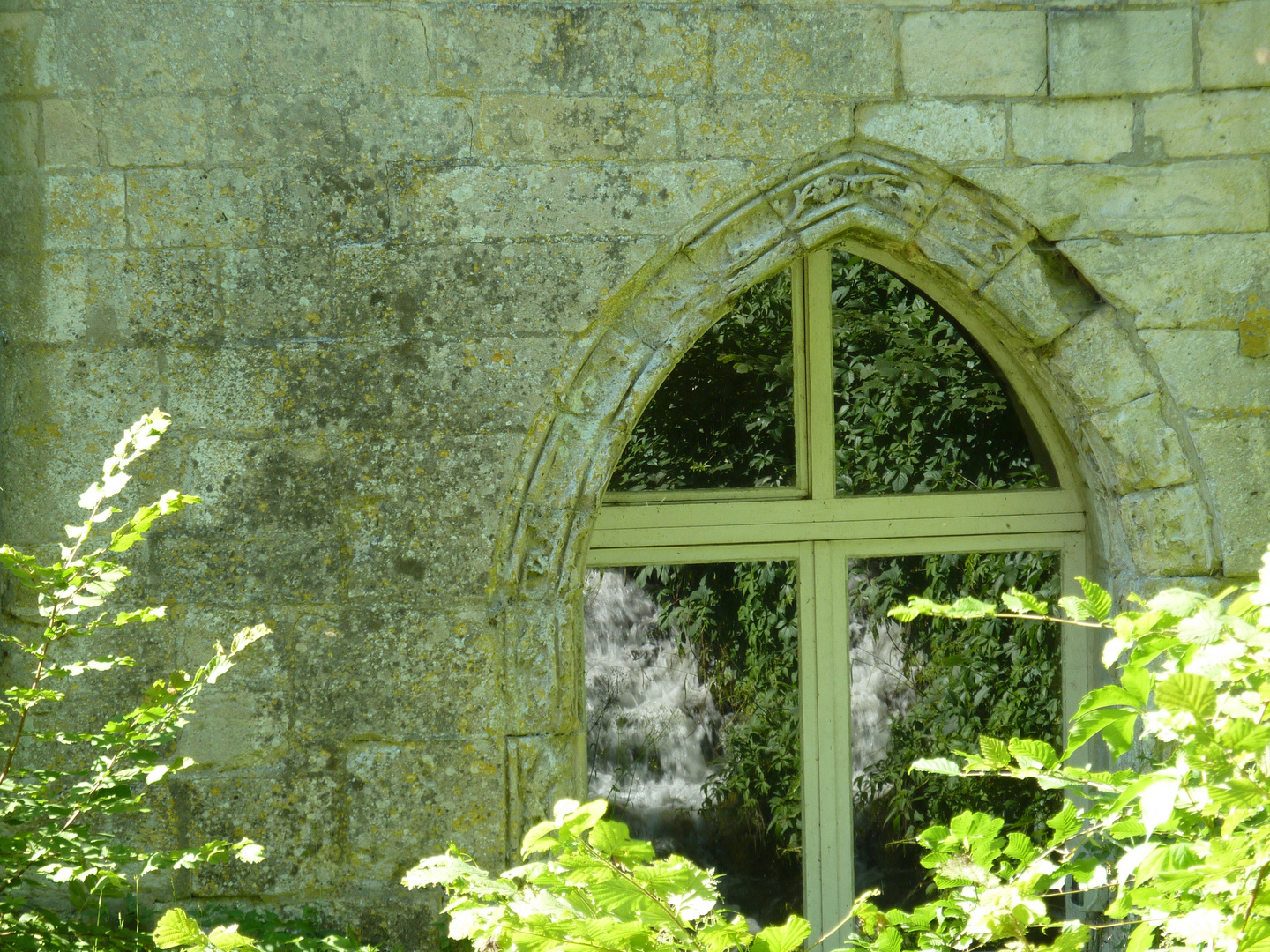 Fraicheur d'un reflet