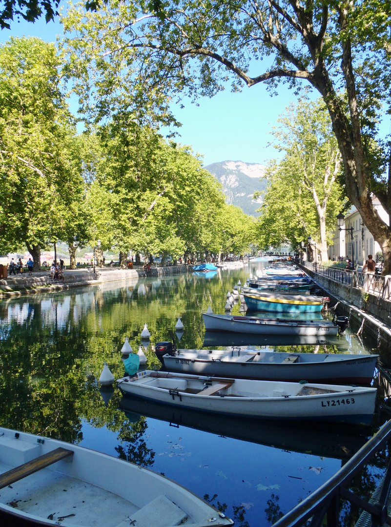 fraicheur sous les arbres....