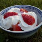 Fraise à la chantilly