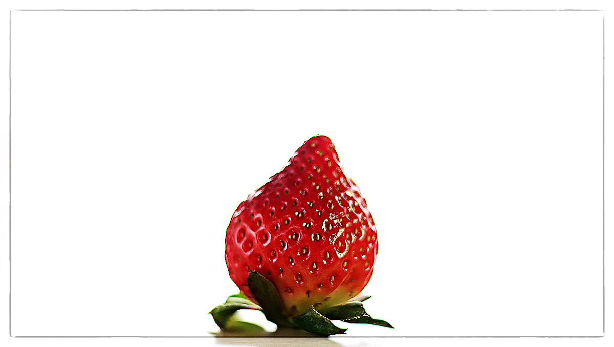 Fraise au levé des flashs