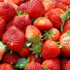 Fraises