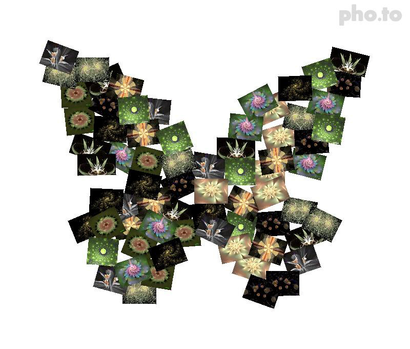 Fraktale als Collage im Internet erstellt