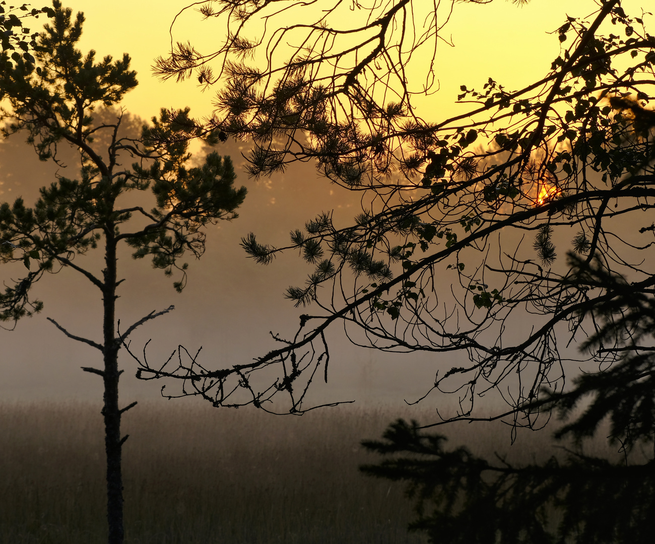 Framing the sunrise 