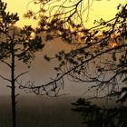 Framing the sunrise 