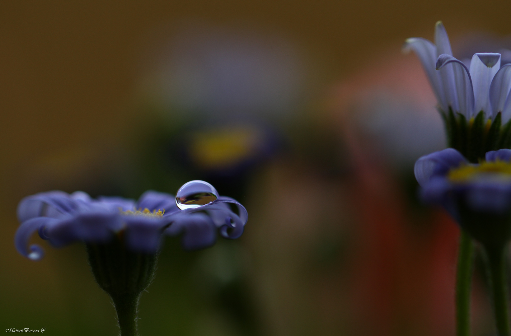 Frammenti Di Azzurro