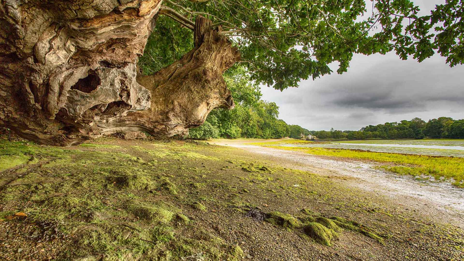 France Bretagne