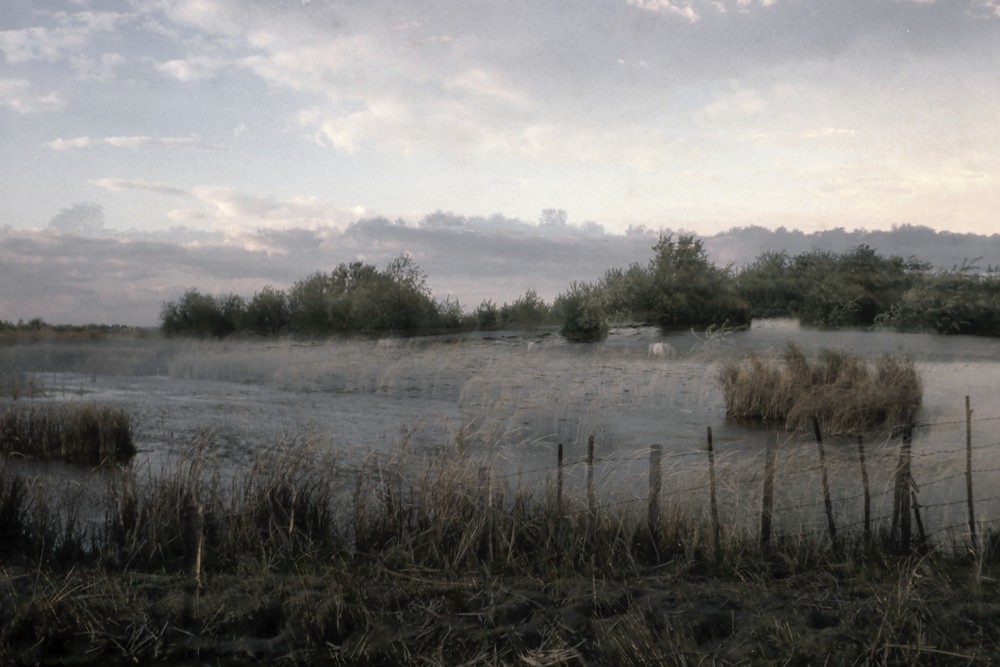 France Camargue